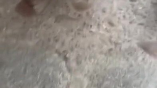 Шокирующий публичный триллер: она сделала это при всех!