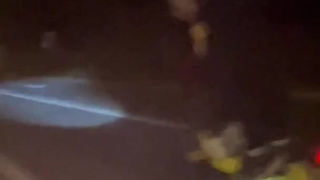 Экстрим-минет на колесах: сочные утехи среди деревьев